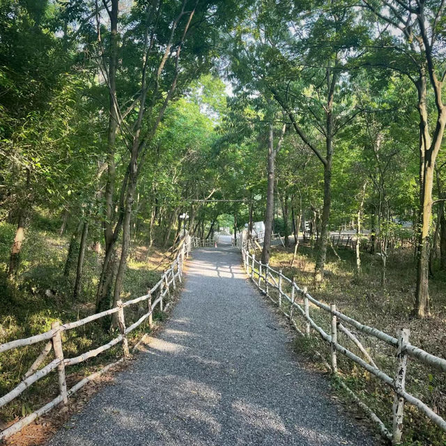 「天理觀光農園～田園畫捲之美！」