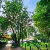 Somdul Agroforestry Home 