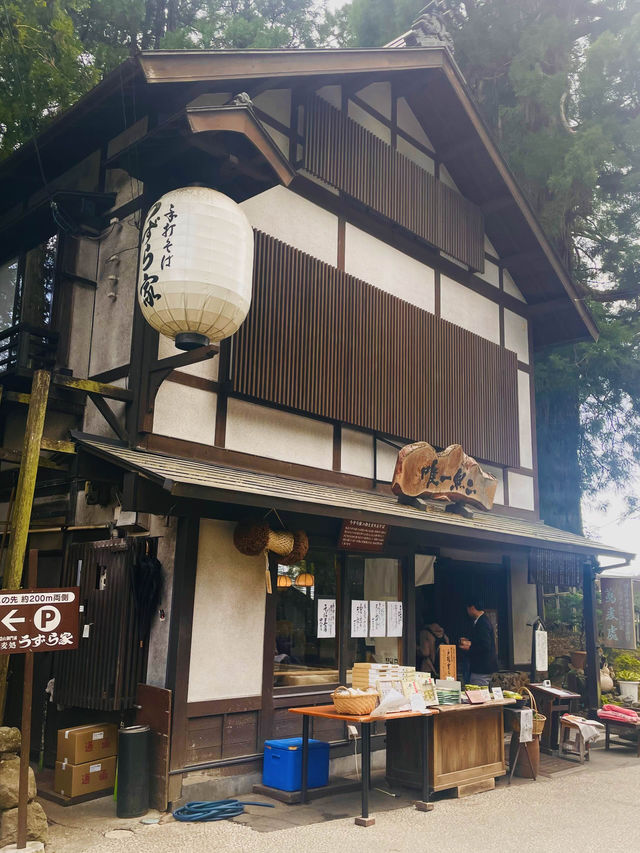 【長野県/ 戸隠の三本杉(三本目)を眺めながら食べる戸隠そば】