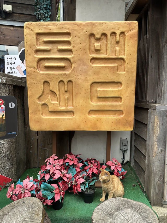 【韓国/浦項/カフェ】韓国ドラマの撮影地としても使用されたカフェ