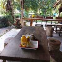 ร้านบ้านชาในป่าฝน Tea House in Rainforest