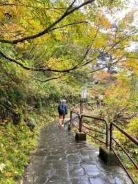 🚂 Kurobe Gorge ทางรถไฟสุดโรแมนติกในญี่ปุ่น