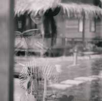 Coco Canopy Boutique Resort 