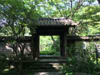 鎌倉瑞泉寺：靜謐與自然的融合