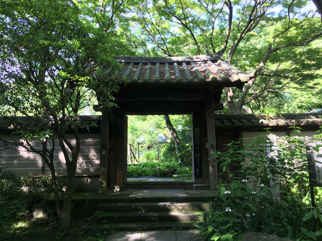 鎌倉瑞泉寺：靜謐與自然的融合