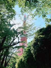 ไปเที่ยว Tokyo tower กัน 🗼