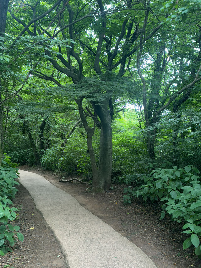 제주 동쪽 여행을 계획하신다면 꼭 방문해보세용 🍃