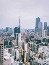 Tokyo Tower View at Park Hotel Tokyo