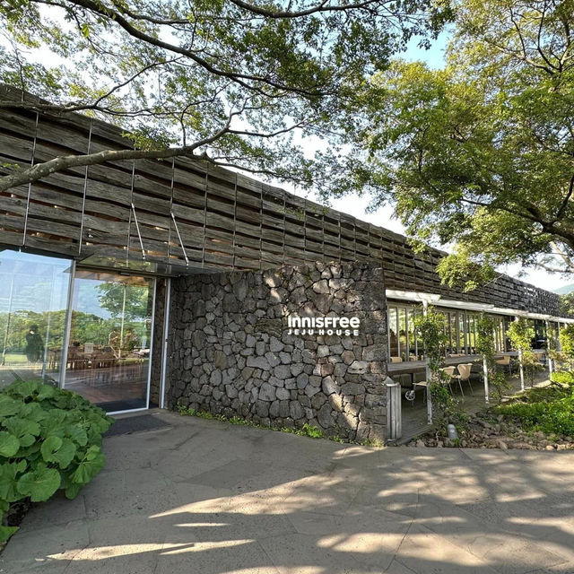 Natural Oasis: Innisfree Jeju House