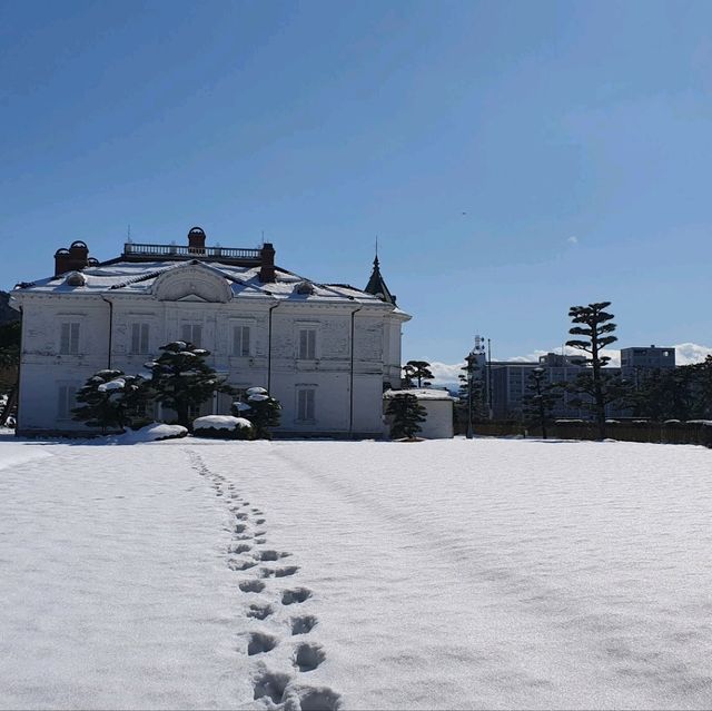 幸運的鳥取雪丘-划算的外國人計程車