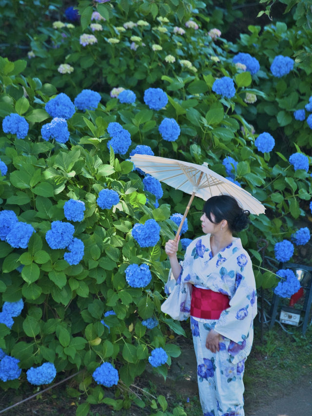 【神奈川】このコラボは全国でも貴重✨今しか見れない無料の映えスポット😍※撮影ポイント付