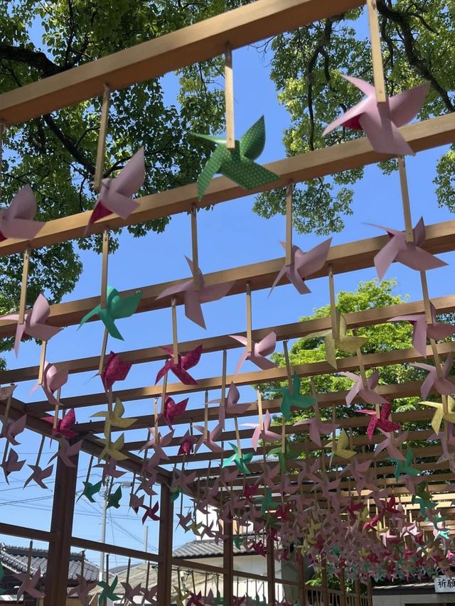 【福岡神社】四季折々のイベントや花手水が楽しめる神社