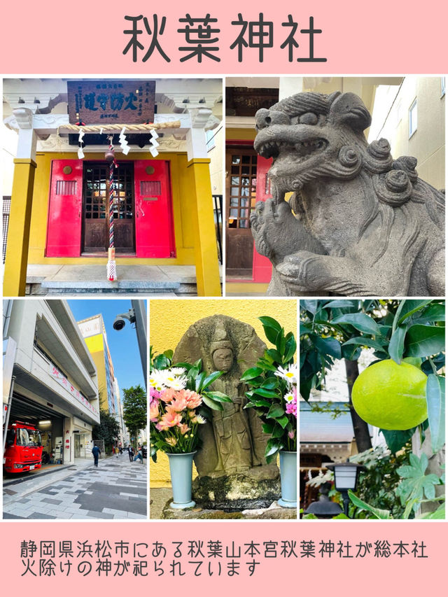 【新宿区神社旅①】おすすめスポット5選