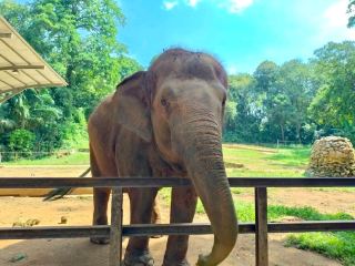 Zoo Melaka