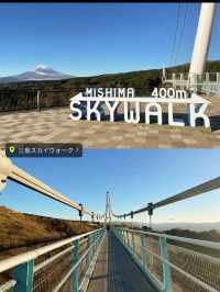 〜静岡県〜可愛すぎる🌸静岡おすすめスポット🗻