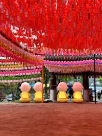 알록달록 봄을 더 아름답게 즐기실 수 있는 🪷 인사동 사찰 데이트 🌸