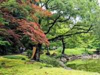 日本東京-靜謐清幽的名石山水園邸：清澄庭園