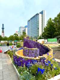 札幌　札幌観光　今年も開催中！札幌花フェスタ2024にいってきたよ