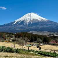【必去！富士山五個不擠人景點推薦🇯🇵🗻】