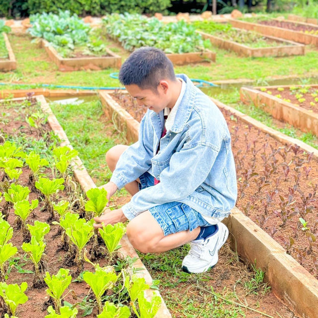 ที่พักเขาใหญ่ท่ามกลางธรรมชาติและขุนเขา มาดีปากช่อง