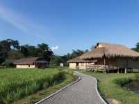 Lisu Lodge 
