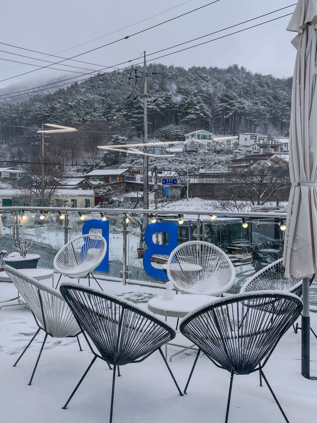 경주 숲뷰 루프탑카페 카페비비 경주 숲뷰 루프탑카페 카페비비
