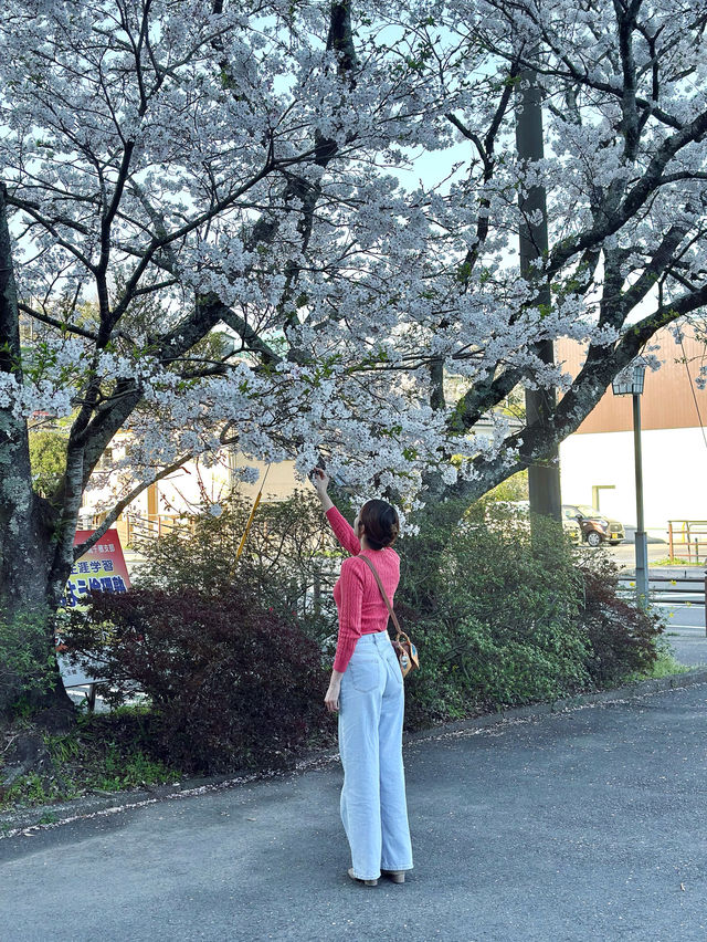 ✈️九州宮崎縣求夫妻和順的高千穗神社🤎