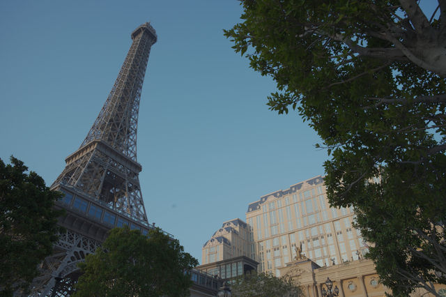 Parisian Macao Photography