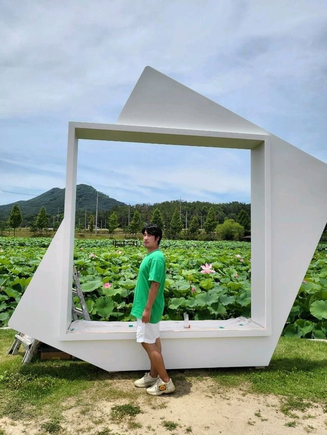 여름꽃 대표주자 연꽃은 여기서 봐요