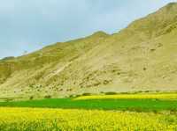 Embracing Tibet’s natural beauty 🇨🇳