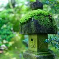 北門神社：感受日本神秘文化