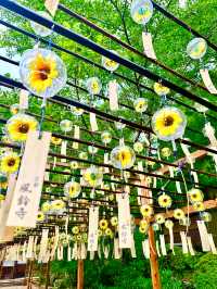 〜京都府綴喜郡〜 正寿院 6/1〜9/30まで！風鈴祭り開催中！🎐 2,000個の風鈴の音色、爽やか