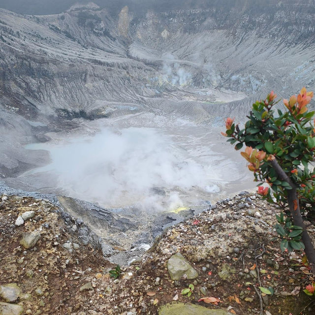 Tangkuban Perahu's Breathtaking Beauty
