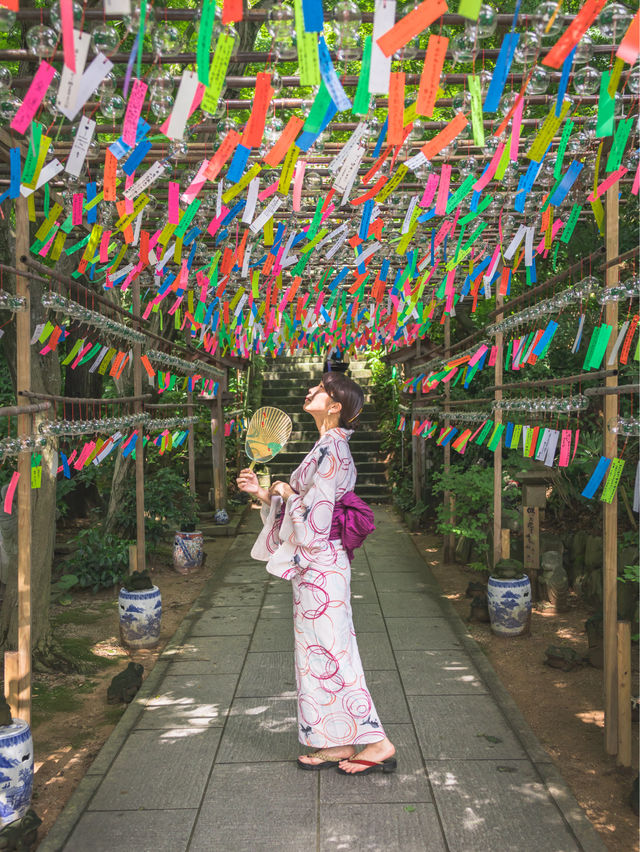 2500個の風鈴の音色が涼しげな『かえる寺」🐸