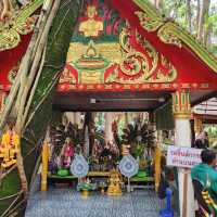 สายมูต้องมา "คำชะโนด วังนาคินทร์"