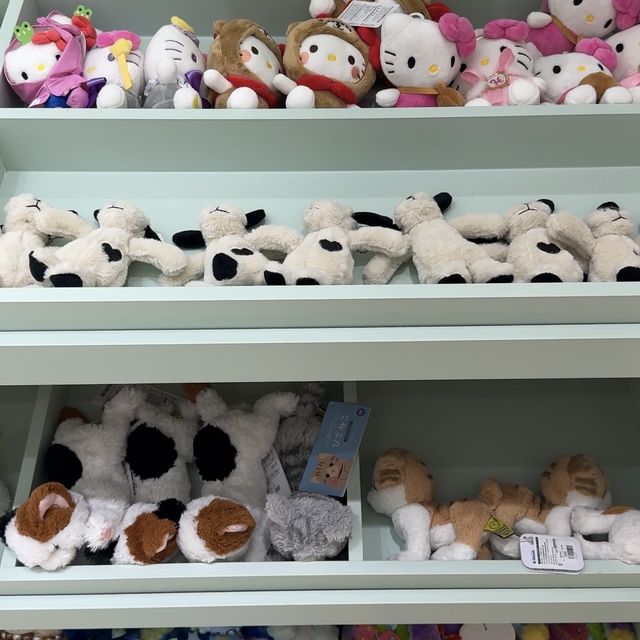 韓国ブランドまでも！ポップな店内が可愛い