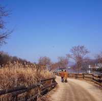 冬季南怡島之旅