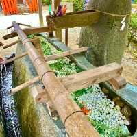 〜京都府〜世界遺産上賀茂神社