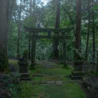 滝山に鎮座する苔むすの神社