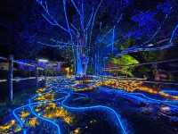 ชมแสง สี วิจิตร @น้ำพุร้อนสันกำแพง เชียงใหม่