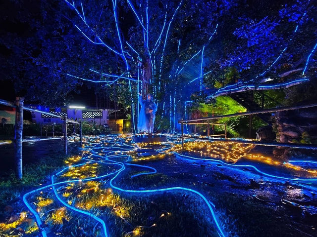 ชมแสง สี วิจิตร @น้ำพุร้อนสันกำแพง เชียงใหม่