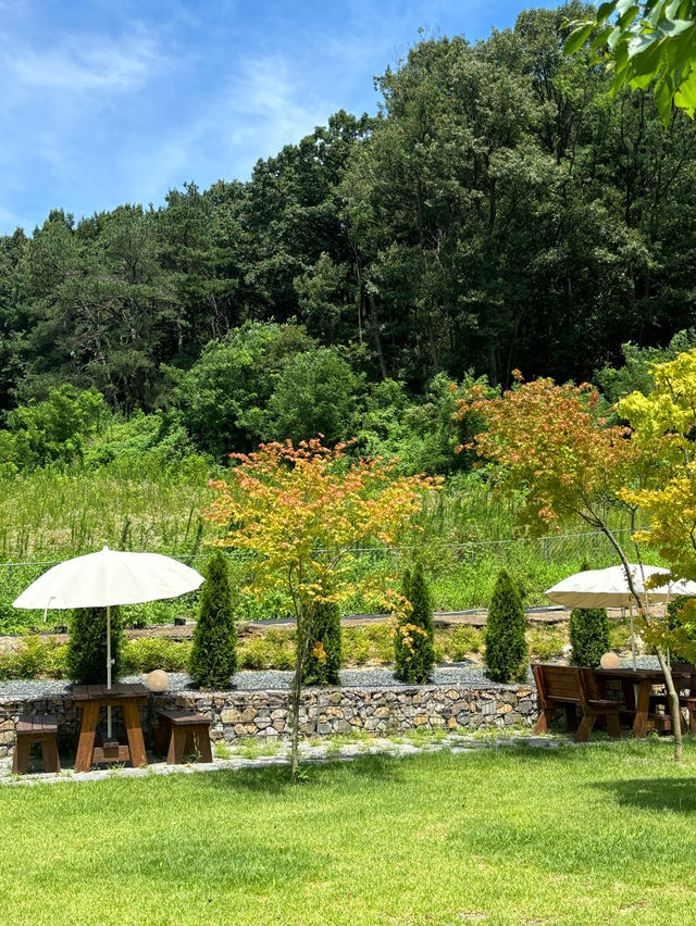 【慶北旅行】緑に癒されるおしゃれカフェ🍀