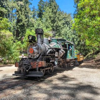 Roaring Camp