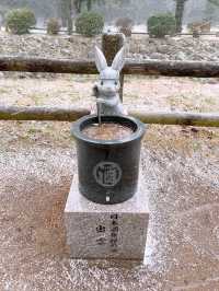【島根/出雲大社】一度は行ってみたかった縁結びの神様が祀られている神社