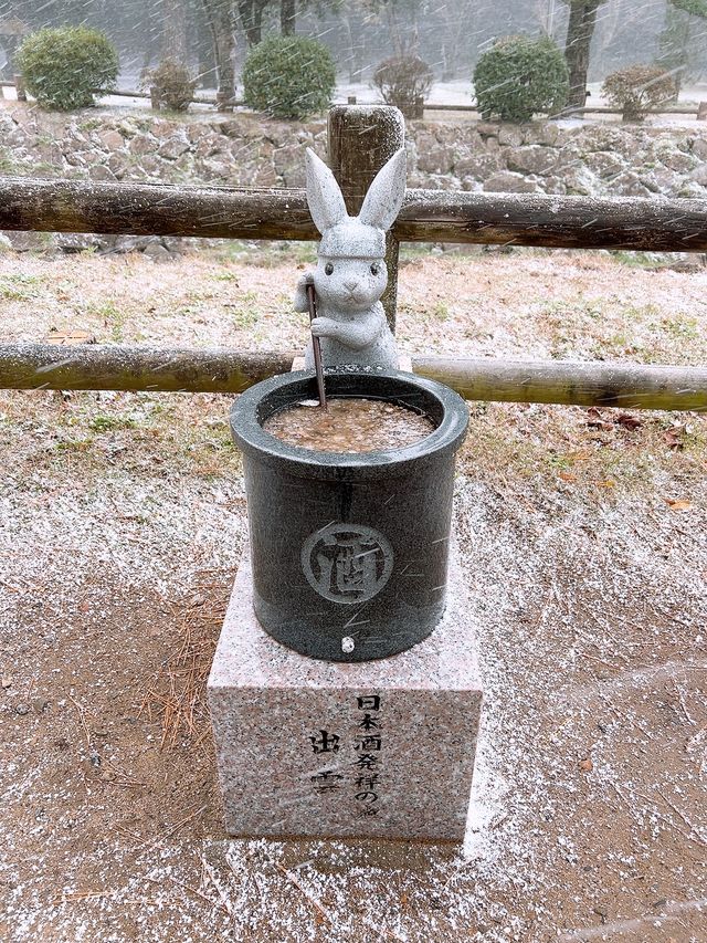 【島根/出雲大社】一度は行ってみたかった縁結びの神様が祀られている神社