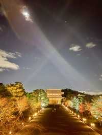 〜京都府〜世界遺産！仁和寺のライトアップ！