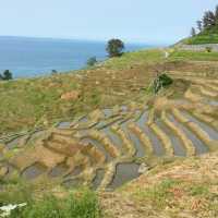 【能登半島】白米千枚田
