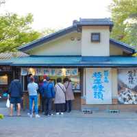 1200년 전 화산폭발로 생긴 벳푸의 온천 연못 - 바다지옥 海地獄