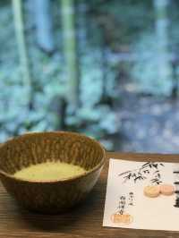 涼を感じるスポット✨美しい竹林の報国寺🥺🤍【鎌倉】