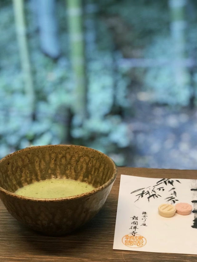 涼を感じるスポット✨美しい竹林の報国寺🥺🤍【鎌倉】